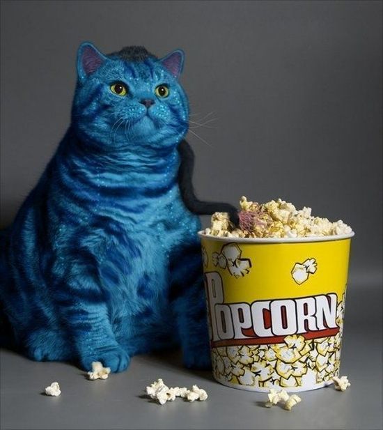 Daily picdump (134 pics)