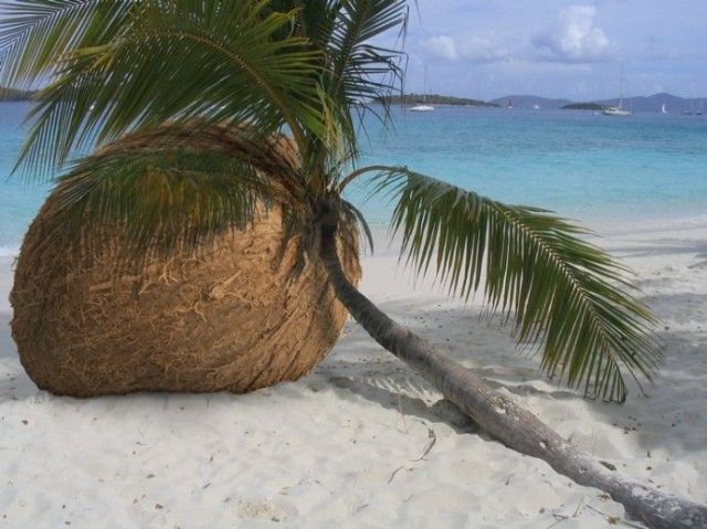 Daily picdump (129 pics)