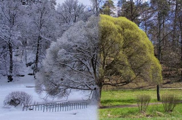 Daily picdump (129 pics)