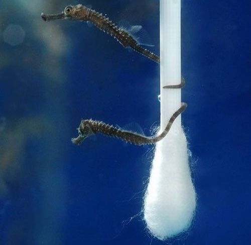 Daily picdump (129 pics)