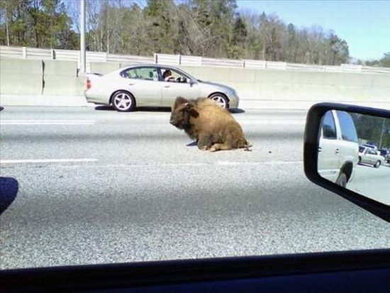 Daily picdump (129 pics)