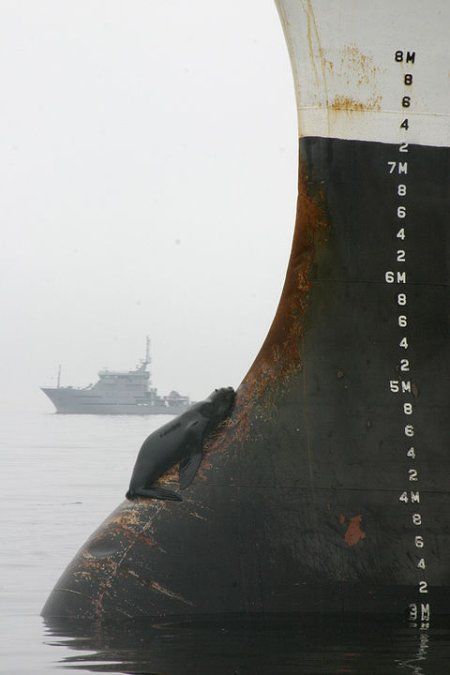 Daily picdump (129 pics)