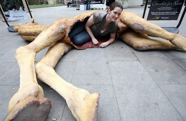 Daily picdump (129 pics)