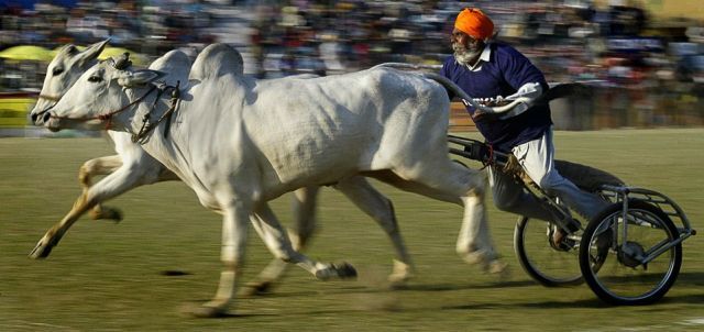 Daily picdump (129 pics)