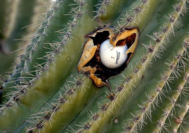 Daily picdump (129 pics)