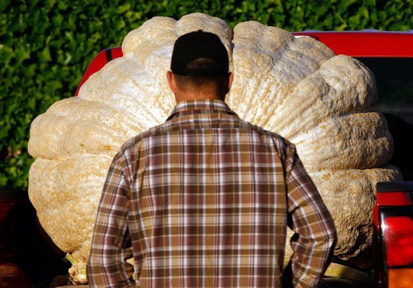 Daily picdump (129 pics)