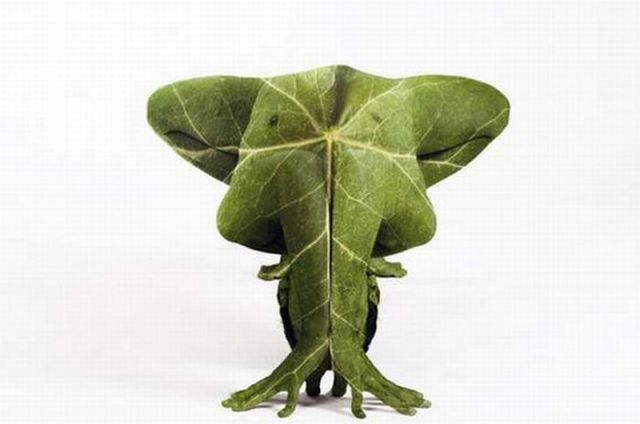 Daily picdump (115 pics)