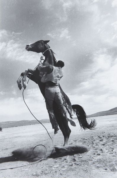 Daily picdump (115 pics)