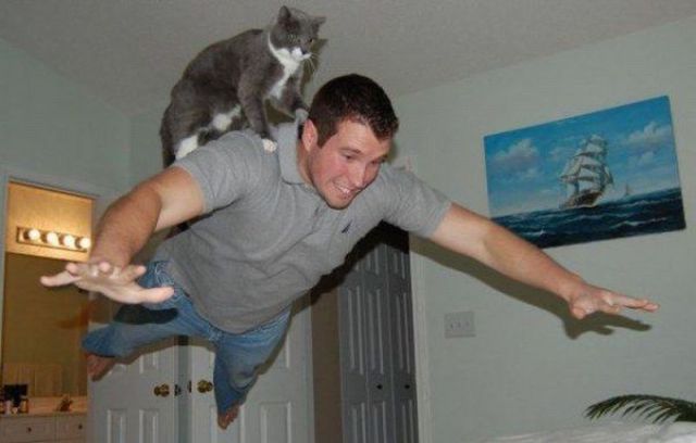 Daily picdump (133 pics)