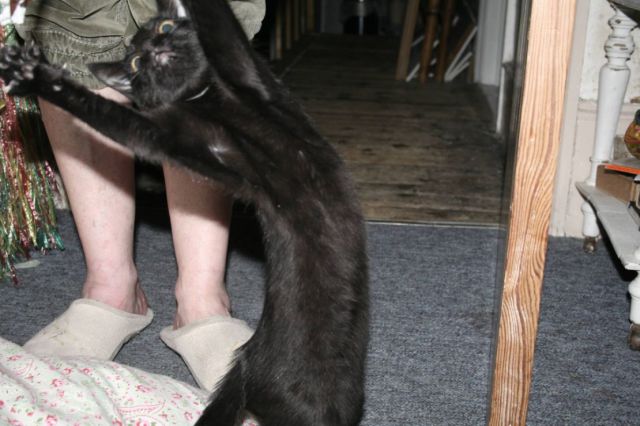 Daily picdump
