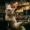 photoshop power 8 pics.html - 8 HD Photos | Premium Gallery 2009