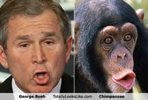 Funny Look Alikes. Part 5