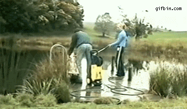 Friday Gif Selection