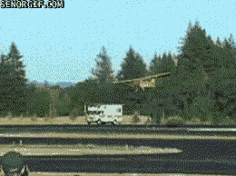 Friday Gif Selection