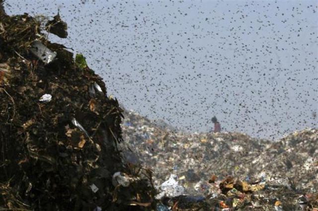 Garbage Around the World