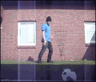 Friday Gif Collection