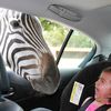 daily picdump 95 pics.html - 95 HD Photos | Premium Gallery 2011