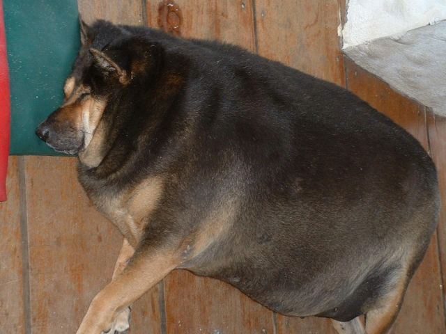 Daily picdump