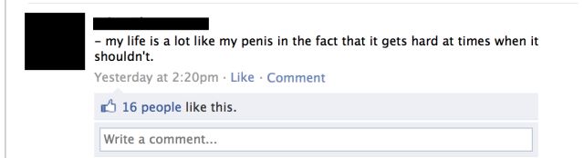 Daily picdump