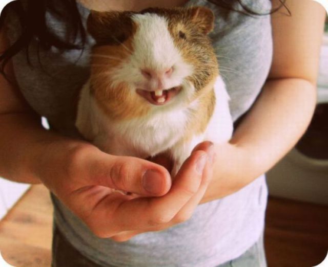 Daily picdump