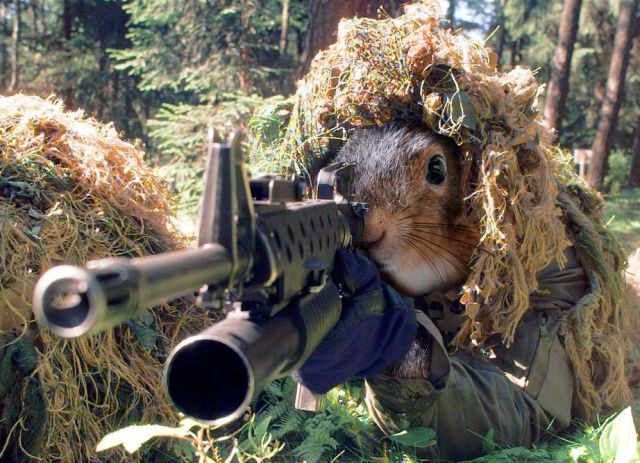 daily picdump 100 pics 46.html - 100 HD Photos | Premium Gallery 2011