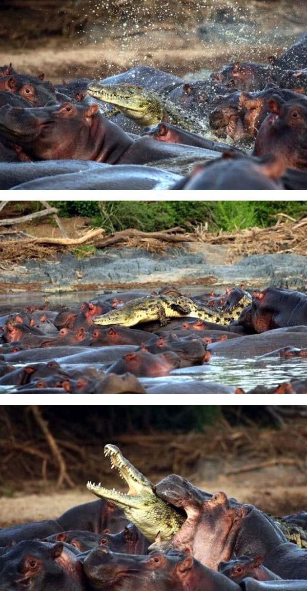 daily picdump 100 pics 46.html - 100 HD Photos | Premium Gallery 2011