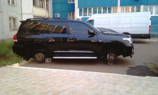 morning picdump 74 pics 23.html - 74 HD Photos | Premium Gallery 2011