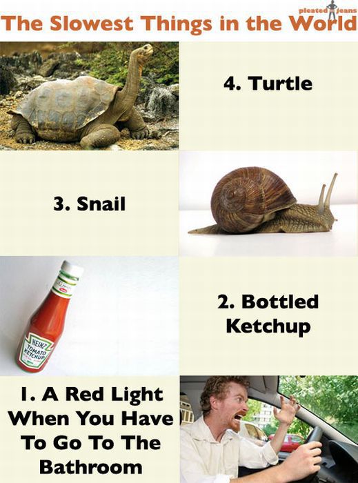 morning picdump 74 pics 23.html - 74 HD Photos | Premium Gallery 2011