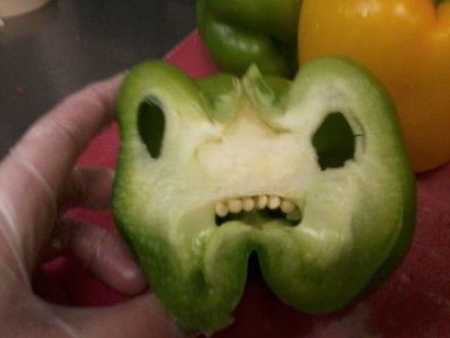 Morning Picdump
