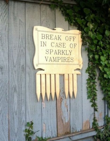 Morning Picdump