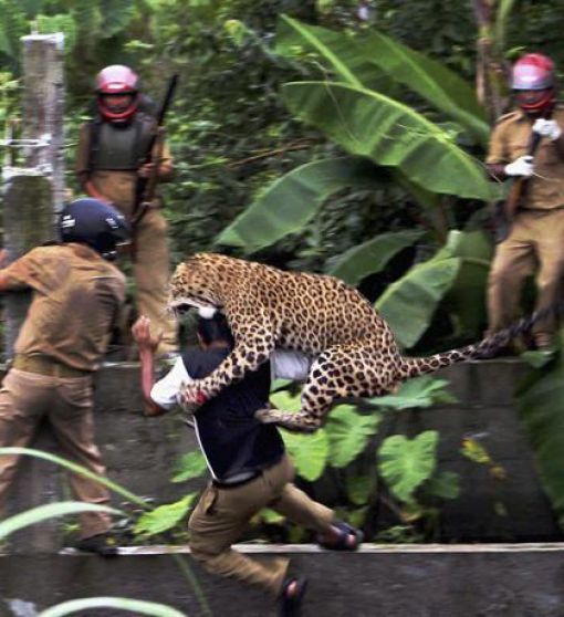 Hilarious Photos Taken at the Perfect Time