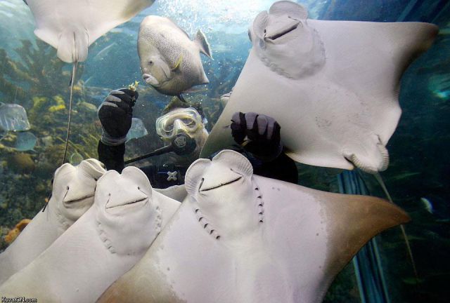Hilarious Photos Taken at the Perfect Time