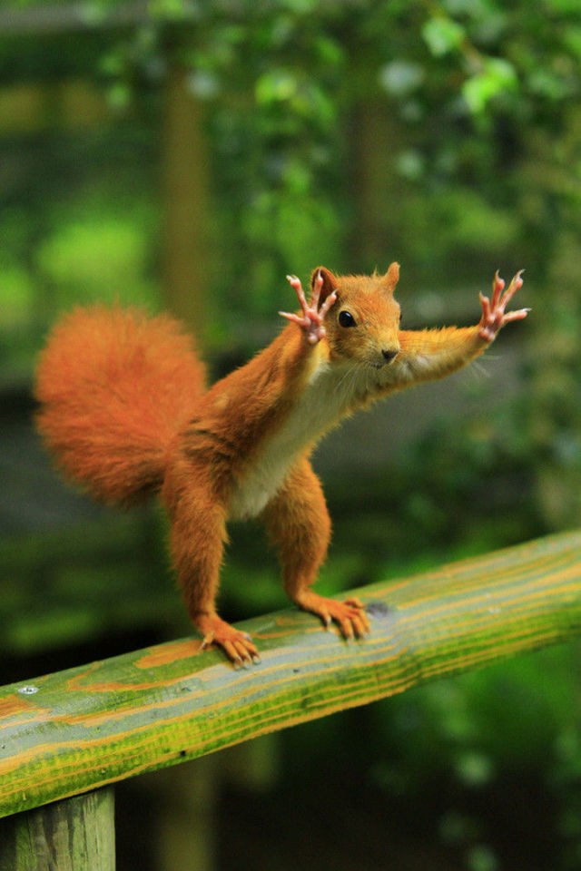 Hilarious Photos Taken at the Perfect Time