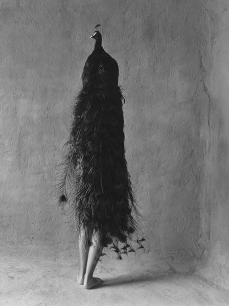 morning picdump 58 pics 19.html - 58 HD Photos | Premium Gallery 2011