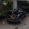 new trend in japan 17 pics.html - 17 HD Photos | Premium Gallery 2012