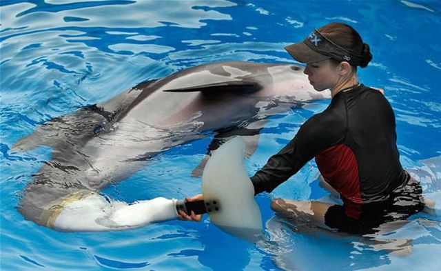 morning picdump 68 pics 21.html - 68 HD Photos | Premium Gallery 2011