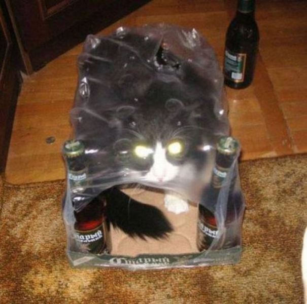 morning picdump 68 pics 21.html - 68 HD Photos | Premium Gallery 2011