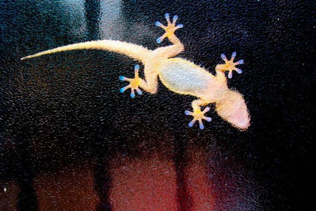 morning picdump 68 pics 21.html - 68 HD Photos | Premium Gallery 2011