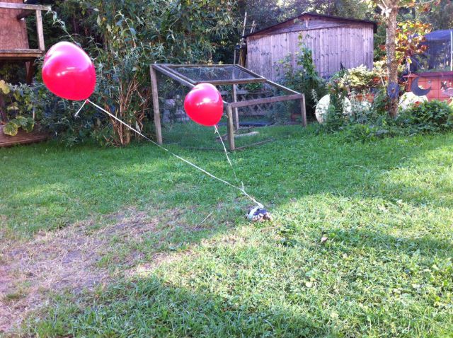 morning picdump 68 pics 21.html - 68 HD Photos | Premium Gallery 2011