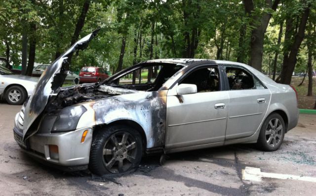 morning picdump 68 pics 21.html - 68 HD Photos | Premium Gallery 2011