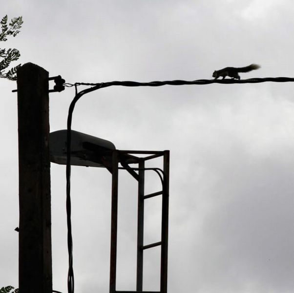 morning picdump 68 pics 21.html - 68 HD Photos | Premium Gallery 2011