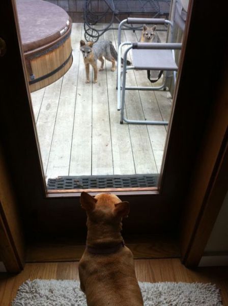 morning picdump 68 pics 21.html - 68 HD Photos | Premium Gallery 2011