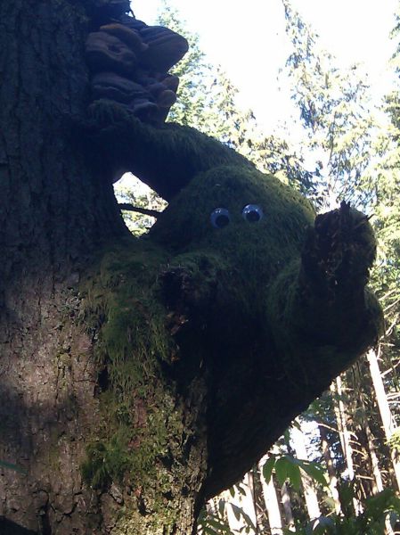 morning picdump 63 pics 32.html - 63 HD Photos | Premium Gallery 2011