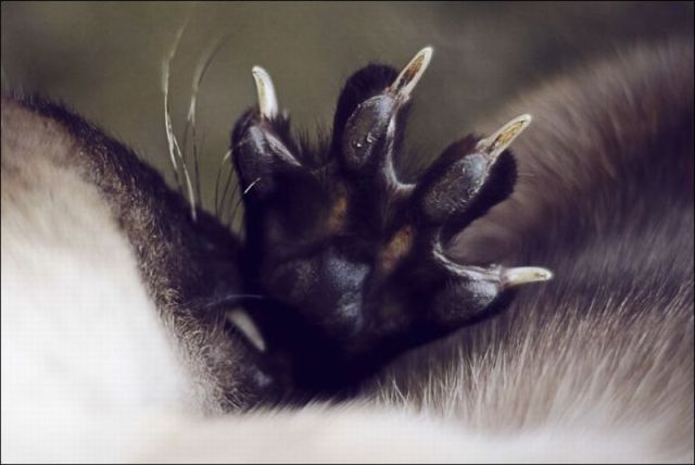 morning picdump 66 pics 21.html - 66 HD Photos | Premium Gallery 2011