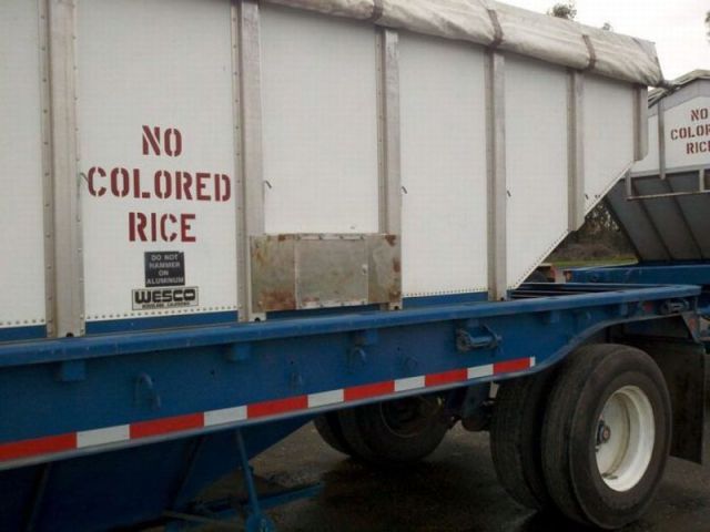 morning picdump 66 pics 21.html - 66 HD Photos | Premium Gallery 2011