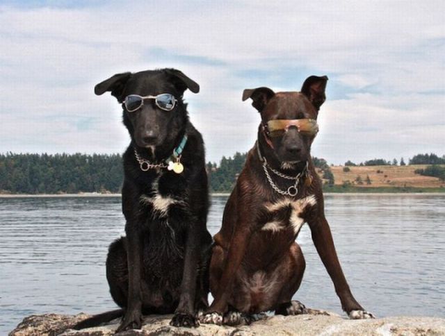 morning picdump 66 pics 21.html - 66 HD Photos | Premium Gallery 2011