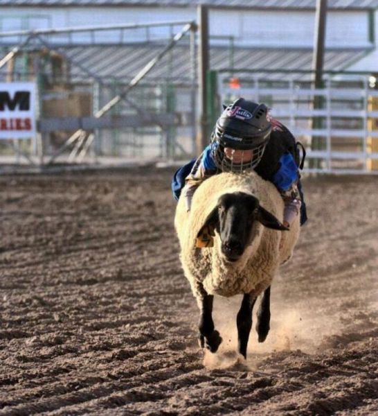 morning picdump 66 pics 21.html - 66 HD Photos | Premium Gallery 2011