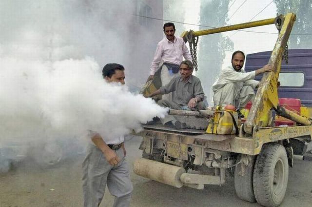 morning picdump 66 pics 21.html - 66 HD Photos | Premium Gallery 2011