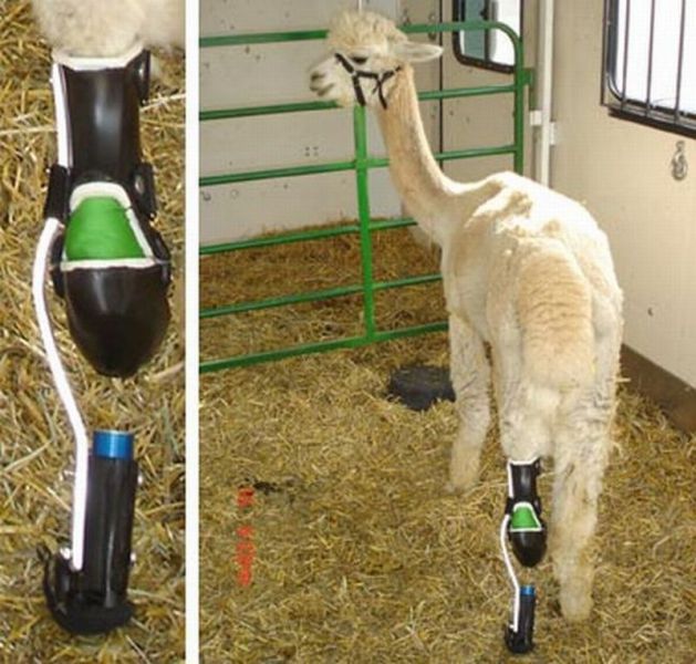 morning picdump 73 pics 5.html - 73 HD Photos | Premium Gallery 2011