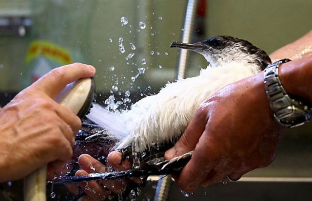 morning picdump 73 pics 5.html - 73 HD Photos | Premium Gallery 2011